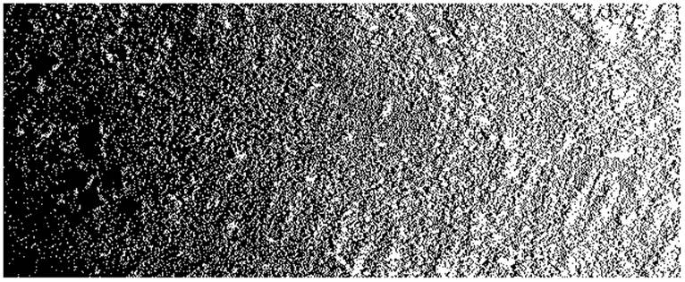 Original ground scan with varying density